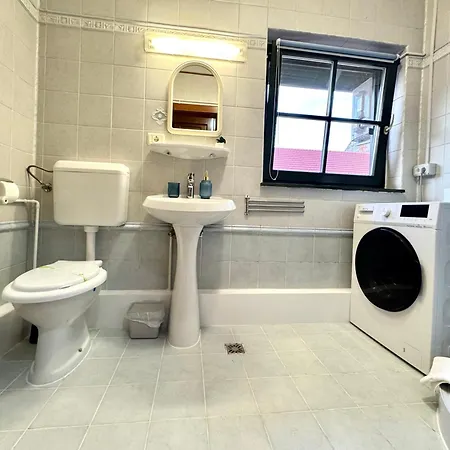 Le Mignon Apartment Timisoara