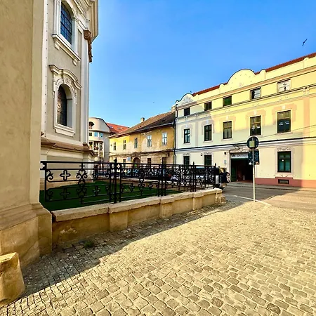 شقة Le Mignon تيميشورا