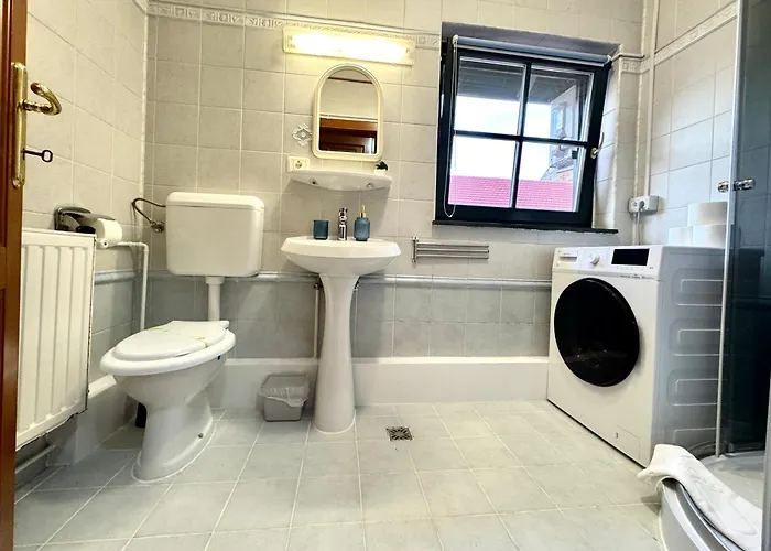 Le Mignon Apartment Timisoara